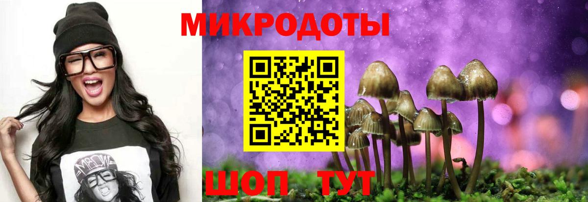 Псилоцибиновые грибы GOLDEN TEACHER Энгельс